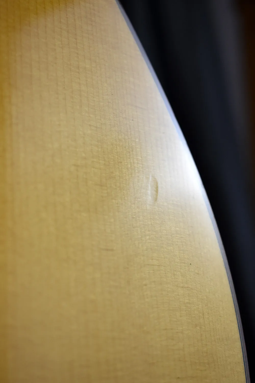 2007 Martin Ditson Dreadnought D-111