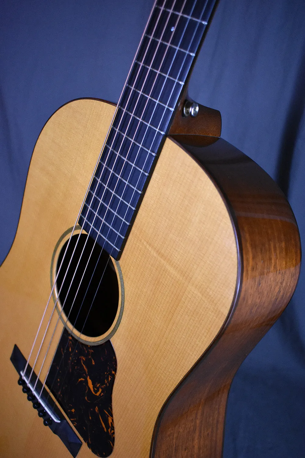 2007 Martin Ditson Dreadnought D-111
