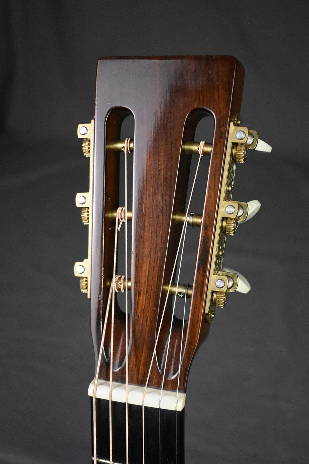 2007 Martin Ditson Dreadnought D-111