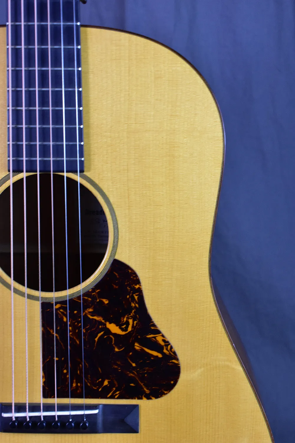 2007 Martin Ditson Dreadnought D-111