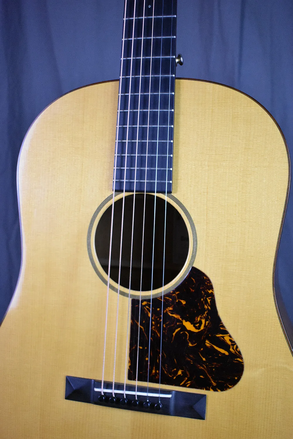 2007 Martin Ditson Dreadnought D-111