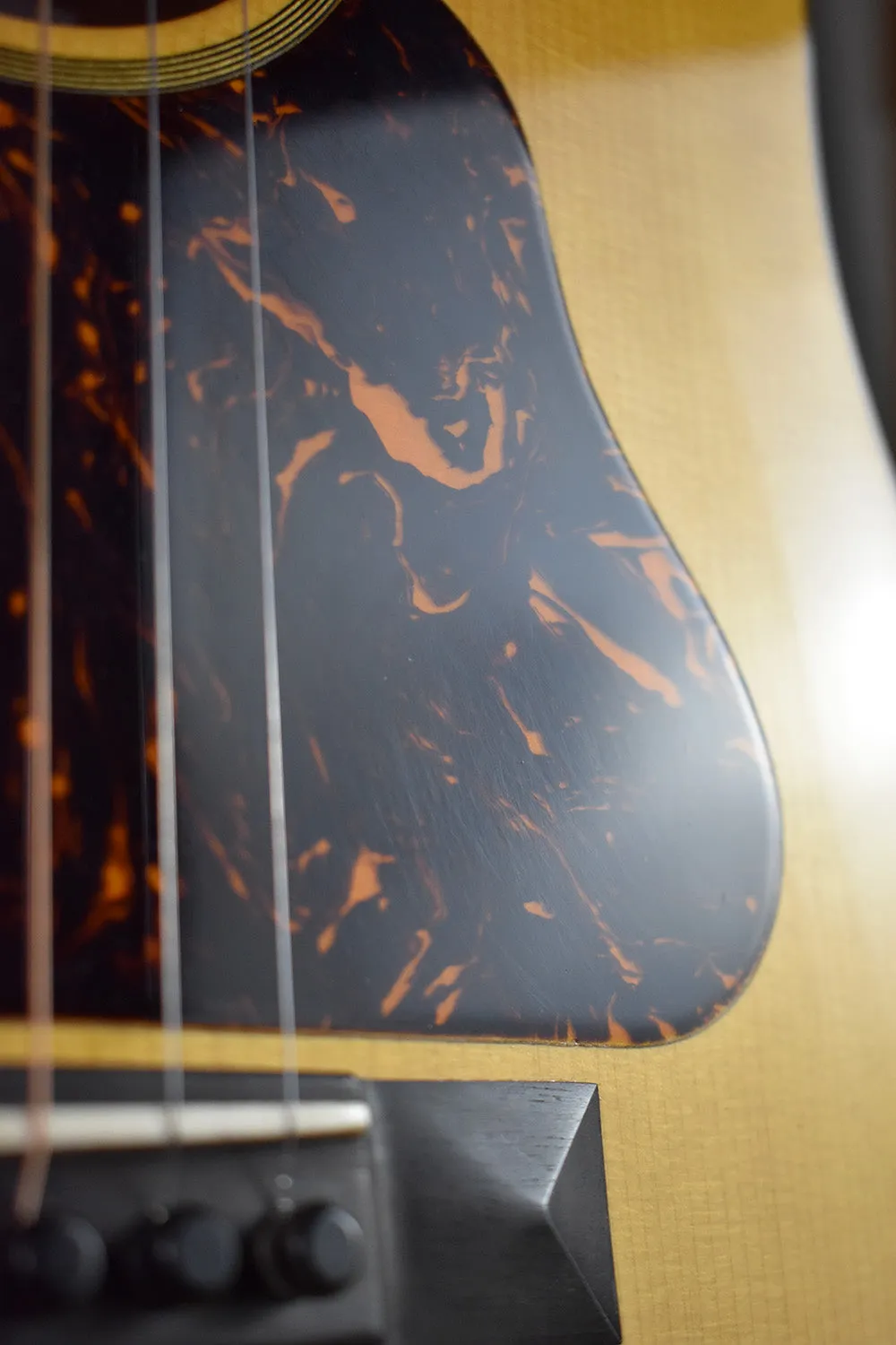 2007 Martin Ditson Dreadnought D-111