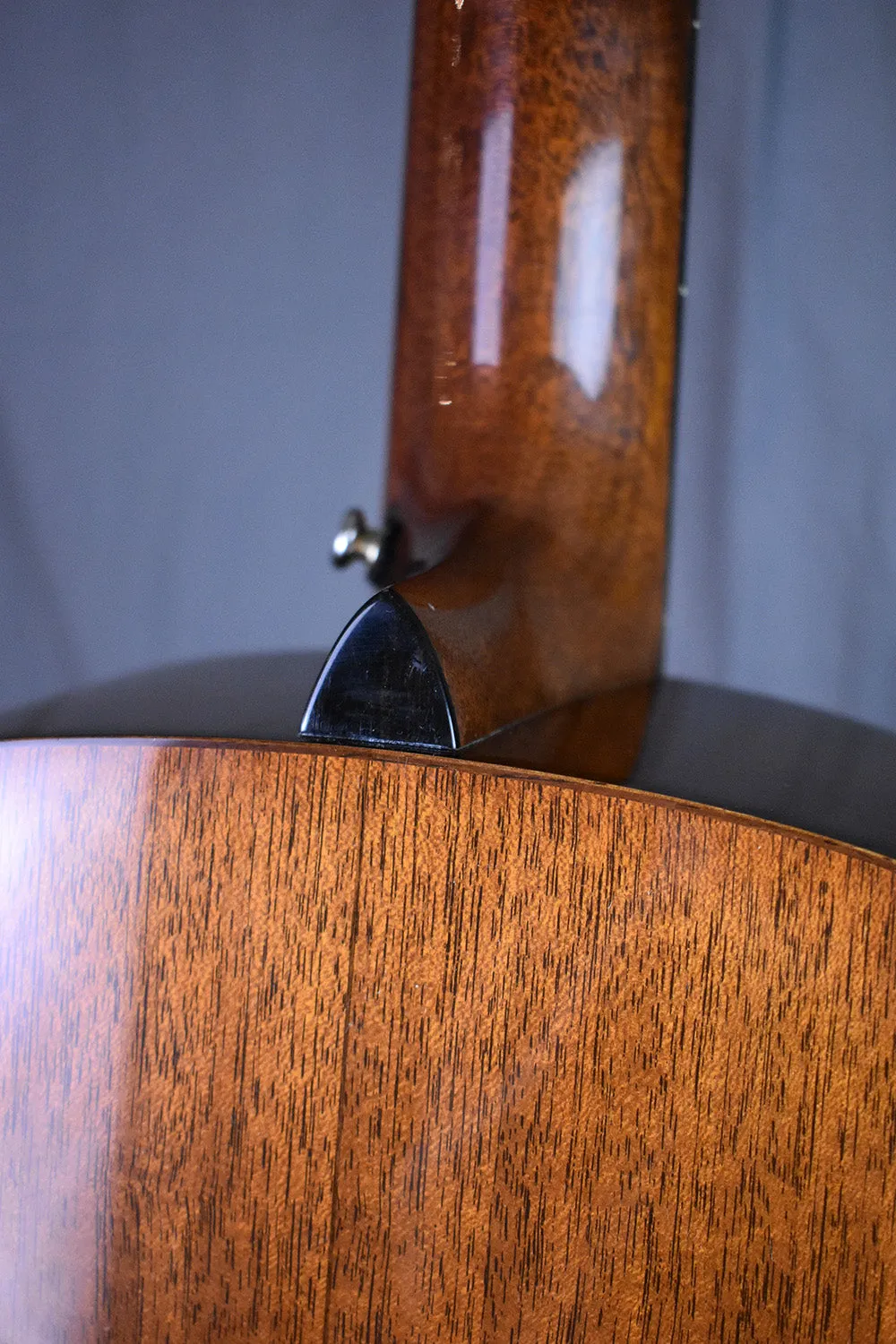 2007 Martin Ditson Dreadnought D-111