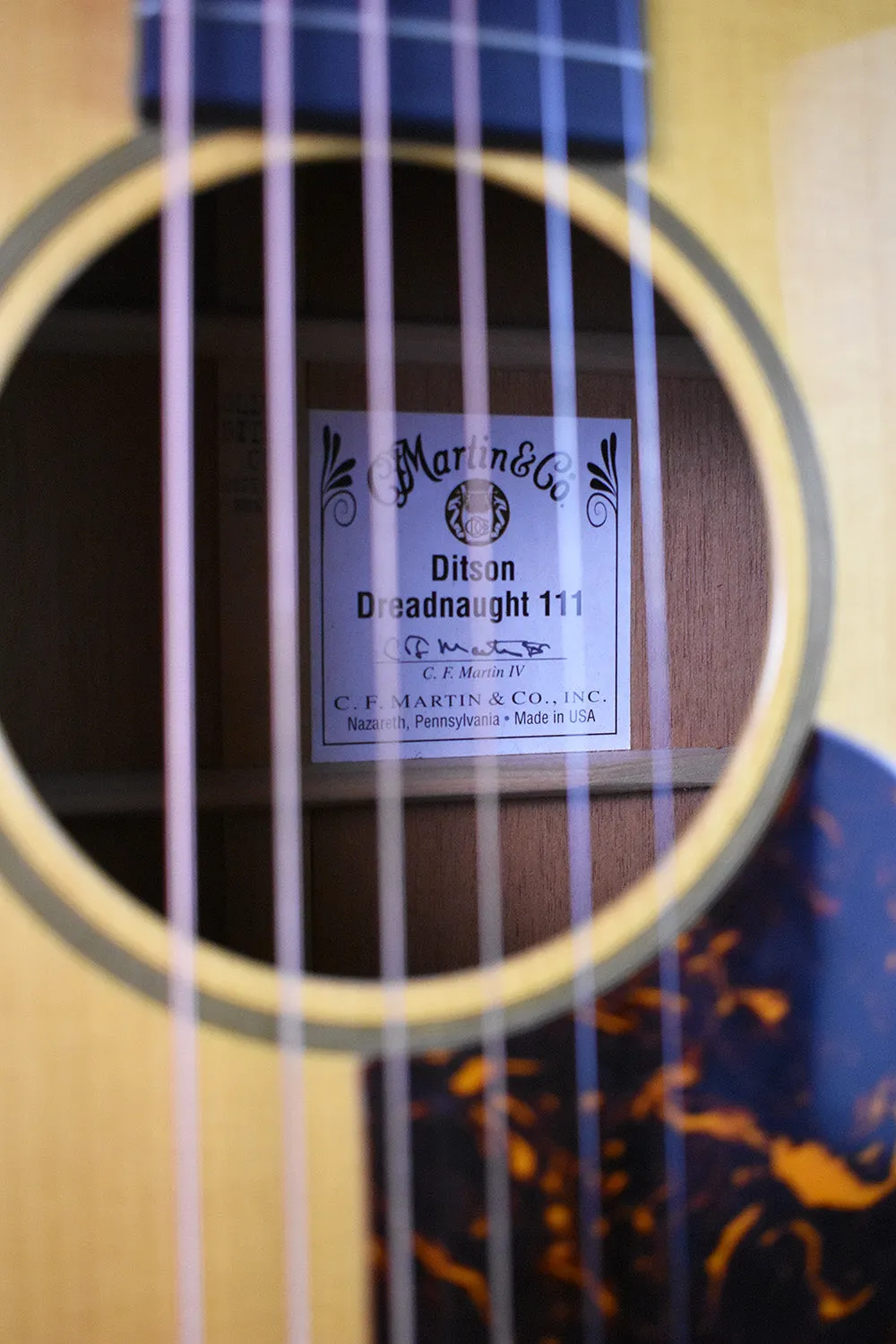 2007 Martin Ditson Dreadnought D-111