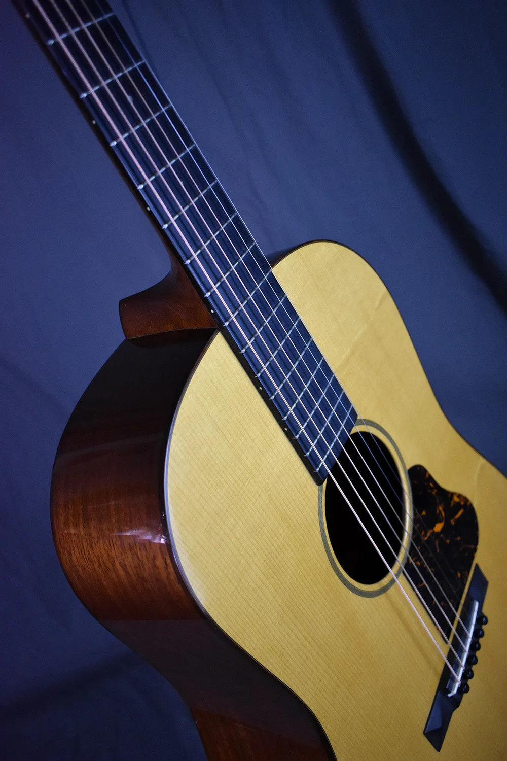 2007 Martin Ditson Dreadnought D-111