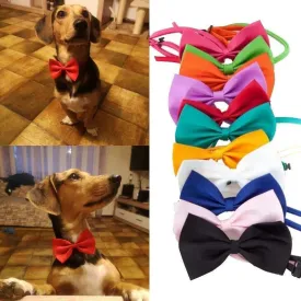 Adjustable Formal Pet Bow Tie Necklace
