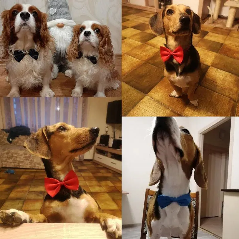 Adjustable Formal Pet Bow Tie Necklace