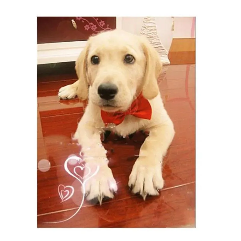 Adjustable Formal Pet Bow Tie Necklace
