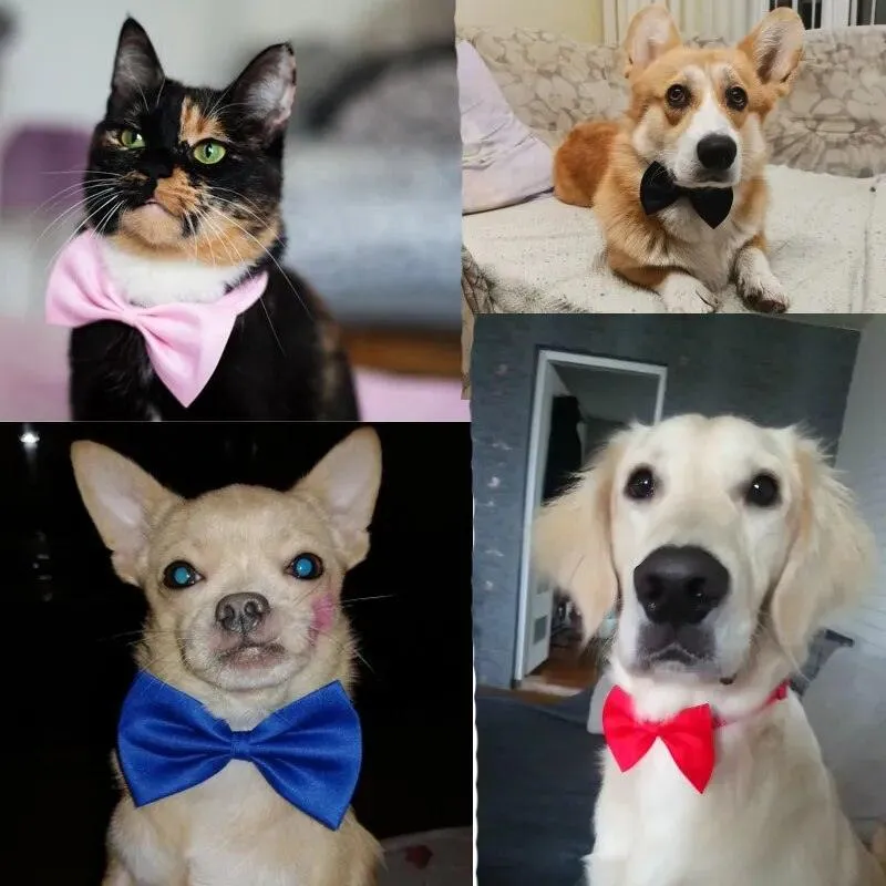 Adjustable Formal Pet Bow Tie Necklace
