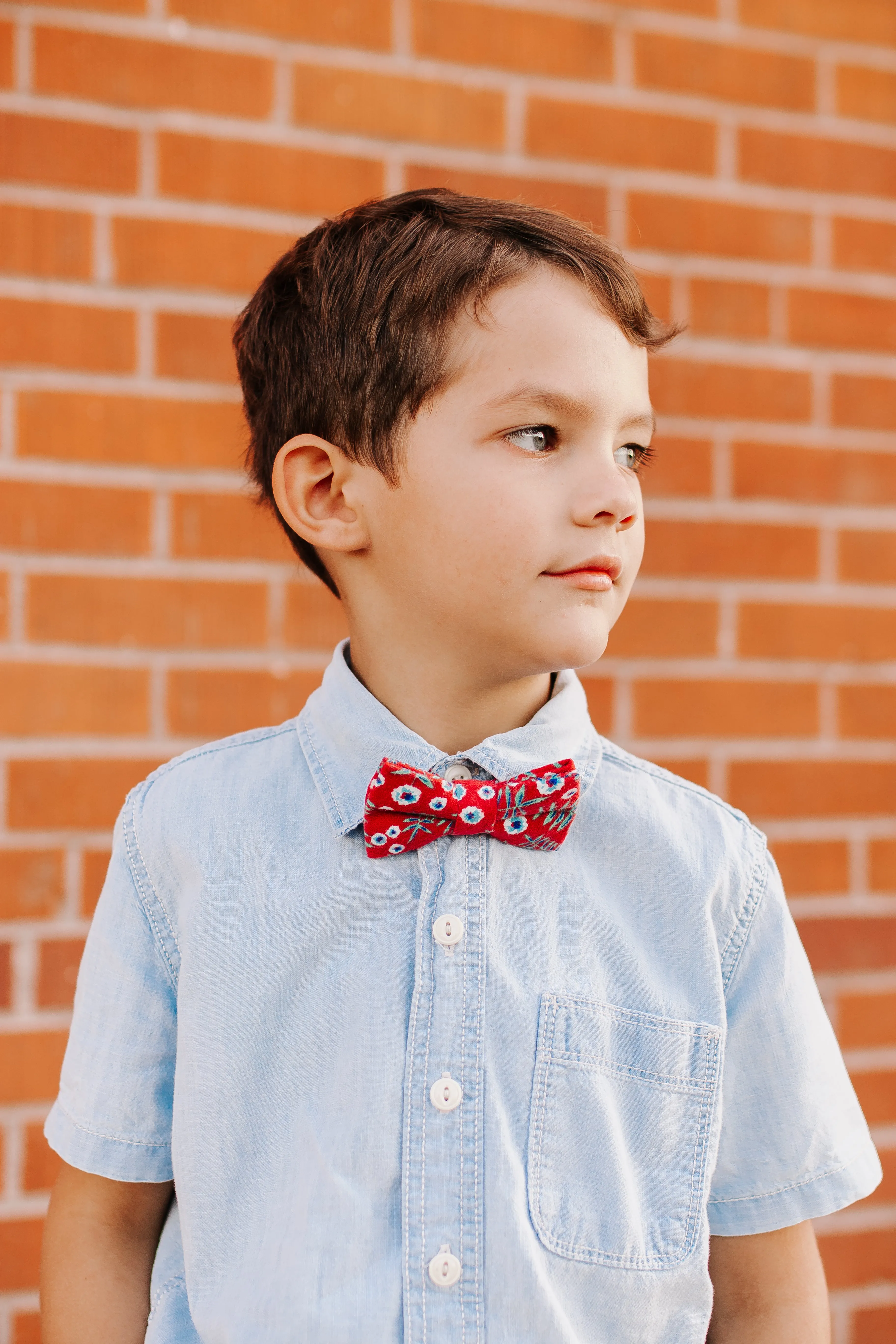 BAILEY || BOY BOW TIE