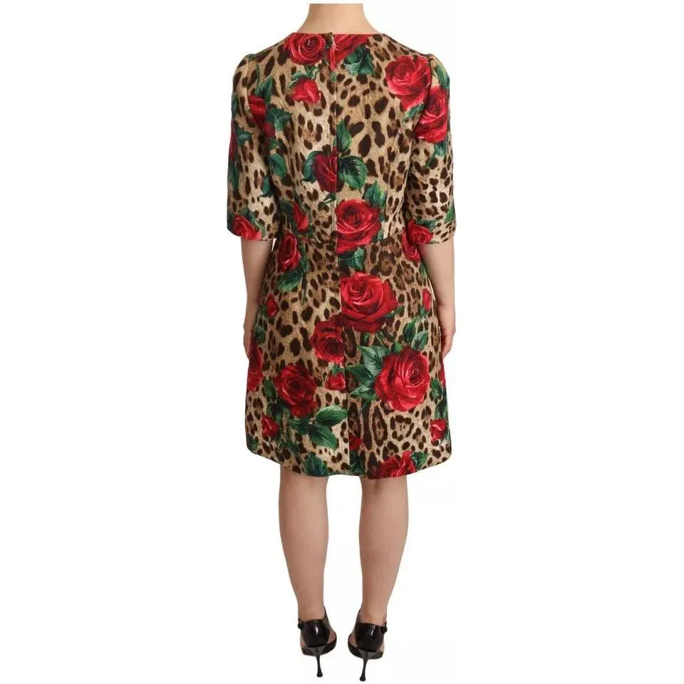 Dolce & Gabbana Brown Leopard Red Roses Cotton A-line Dress