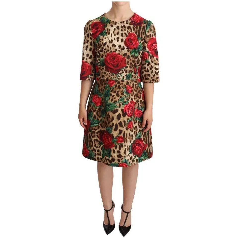 Dolce & Gabbana Brown Leopard Red Roses Cotton A-line Dress